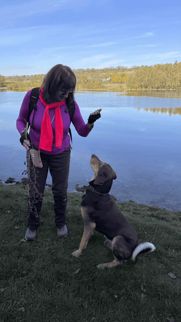 Пояна - Сокола: Осенний маршрут над Днестром 4