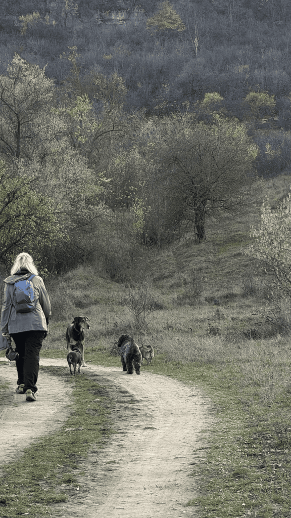 Пояна - Сокола: Осенний маршрут над Днестром 5