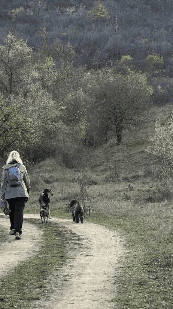 Пояна - Сокола: Осенний маршрут над Днестром 5