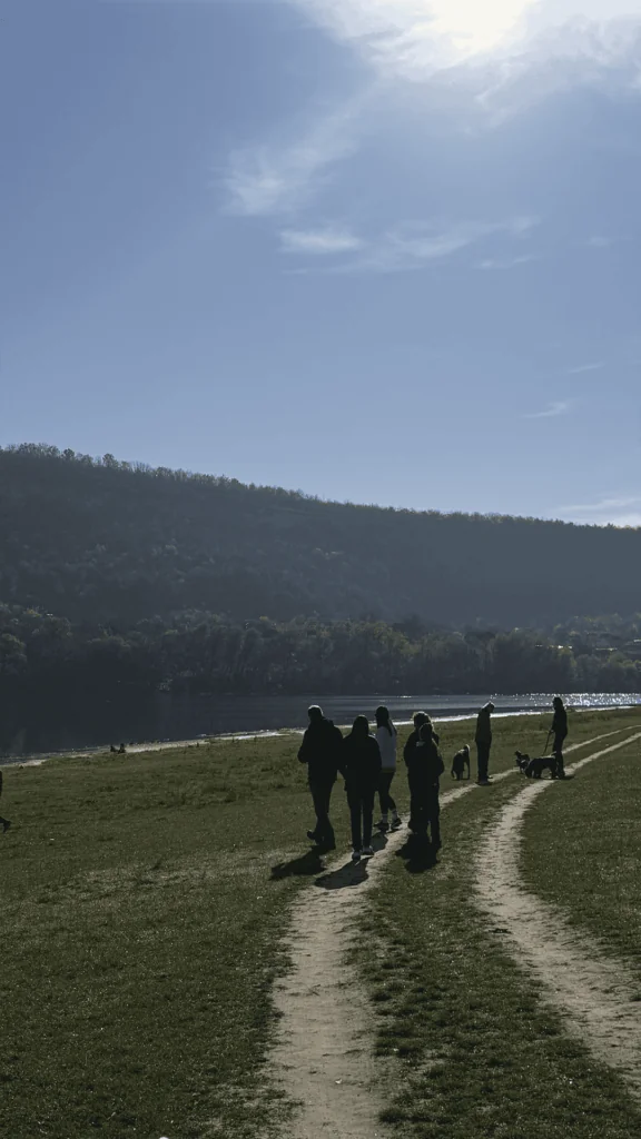 Пояна - Сокола: Осенний маршрут над Днестром 8