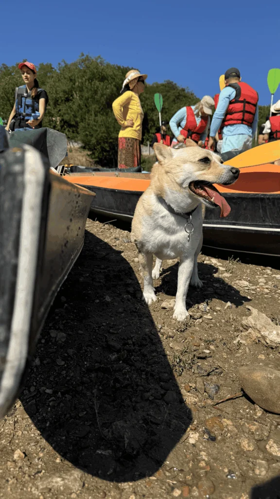 Шерпены — Телица: Летний каяк-поход по Днестру 6 Шерпены — Телица: Летний каяк-поход по Днестру 6