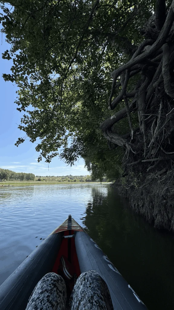 Пугачены — Сияние июля 8 Пугачены — Сияние июля 8